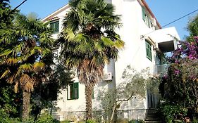 Apartment Jasna